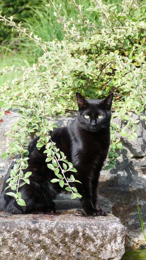 Clan Boucheron Louroux-Bourbonnais Kültér fotó